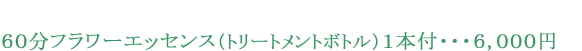 ６０分（エッセンス１本付）　８，０００円