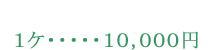 １ヶ　１００００円