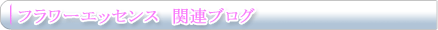 フラワーエッセンス関連ブログ
